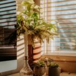 How to Create a Cozy and Productive Home Office Space