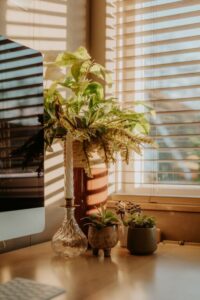 resized_109676